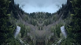 Jörg Dittmann Portfolio