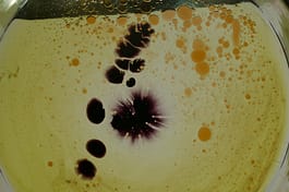 Jörg Dittmann Portfolio