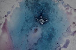 Jörg Dittmann Portfolio