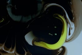 Jörg Dittmann Portfolio