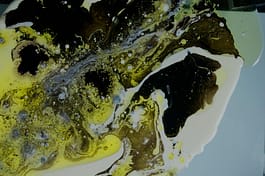 Jörg Dittmann Portfolio